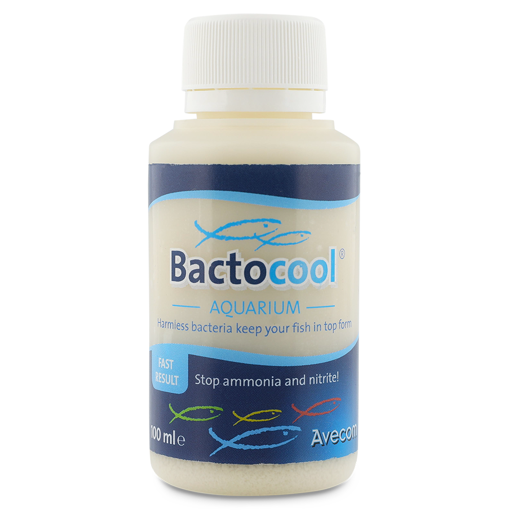Bactocool_100ML-EN