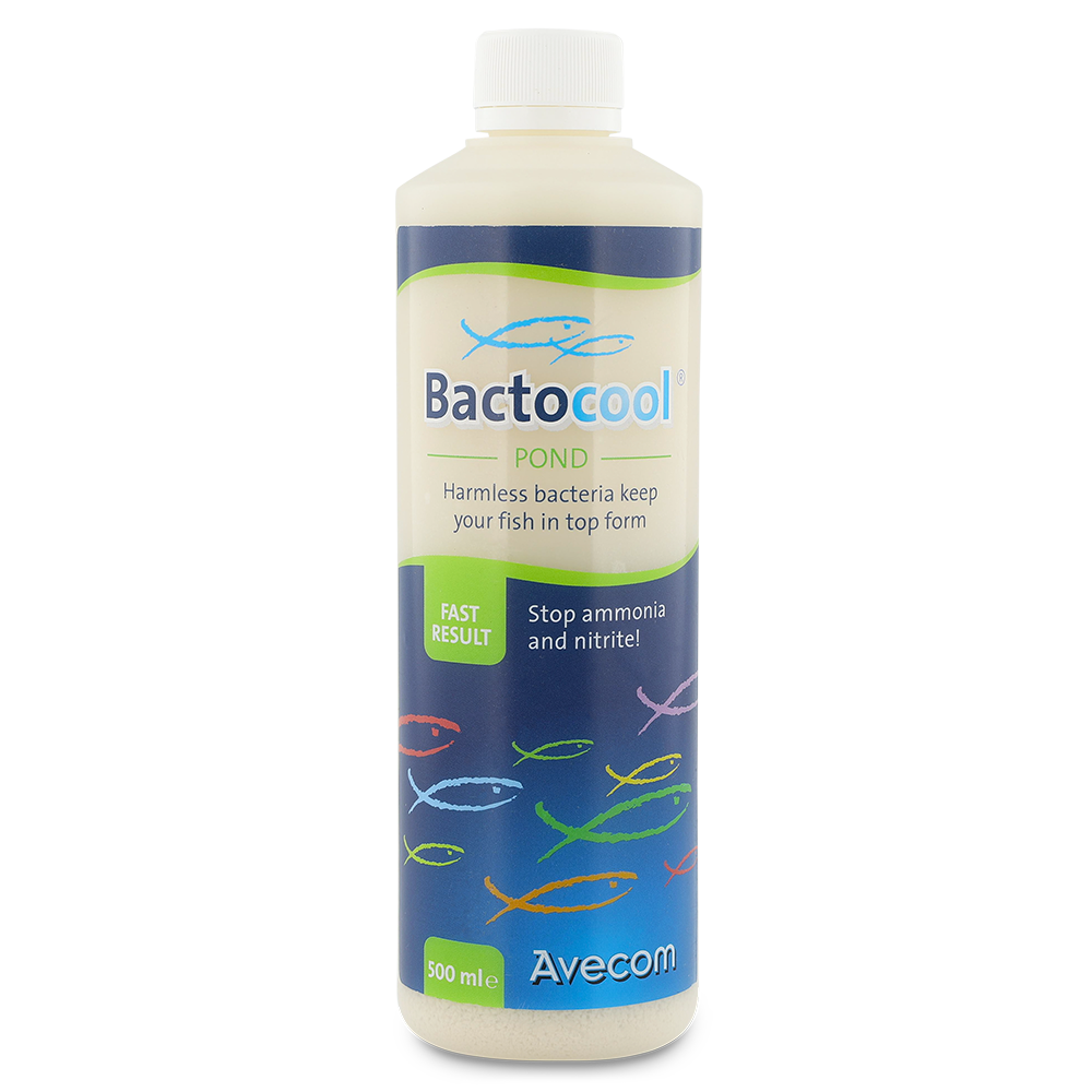Bactocool_500ML-EN
